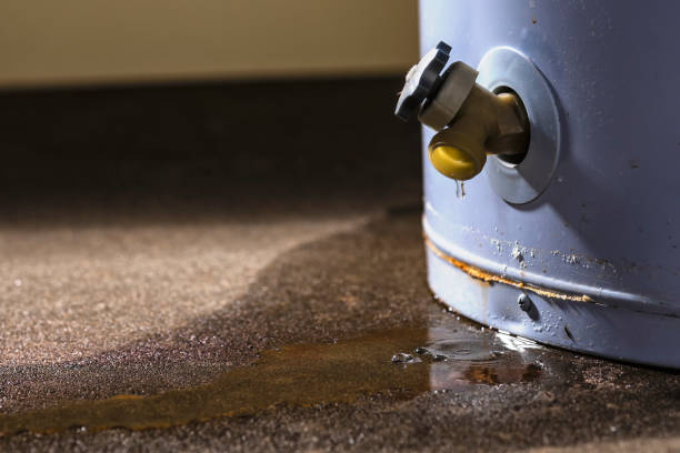Best Water damage restoration experts  in Dunnavant, AL