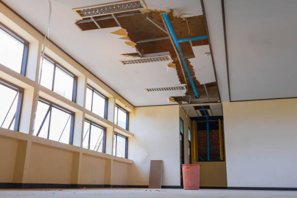 Best 24/7 water damage repair  in Dunnavant, AL