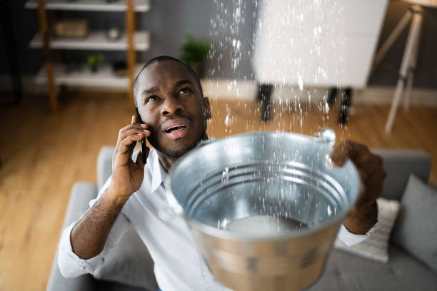 Best Flood restoration services  in Dunnavant, AL