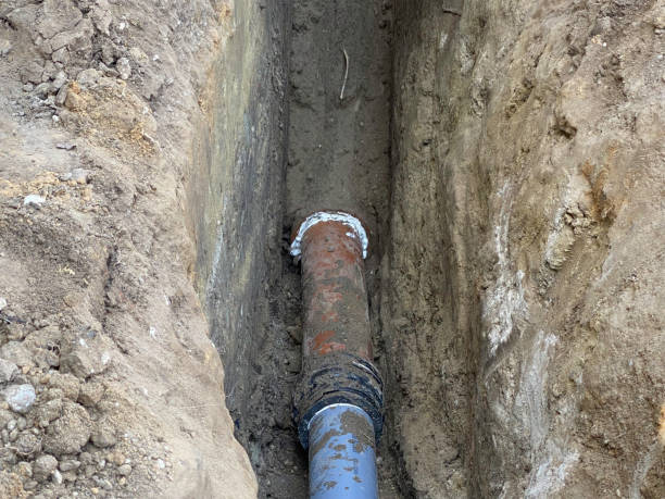 Best Basement water damage restoration  in Dunnavant, AL
