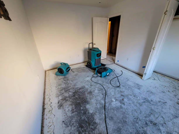 Best Carpet water damage restoration  in Dunnavant, AL