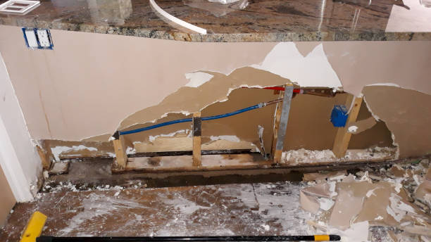 Best Sewage cleanup and water damage restoration  in Dunnavant, AL
