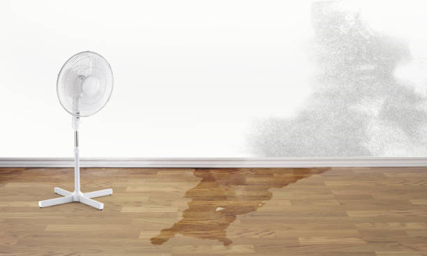 Best Water damage restoration services  in Dunnavant, AL