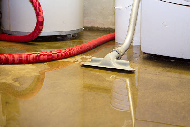 Best Professional water damage repair  in Dunnavant, AL