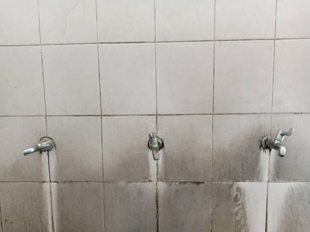 Best Ceiling water damage repair  in Dunnavant, AL