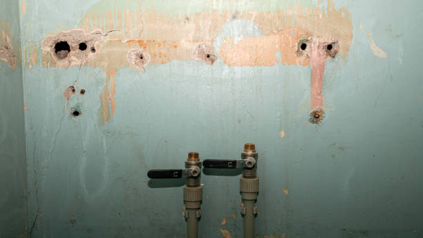 Best Residential water damage restoration  in Dunnavant, AL