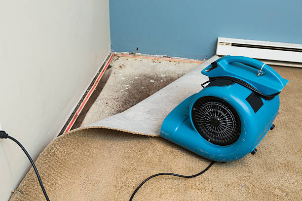 Best Fire Damage Restoration  in Dunnavant, AL